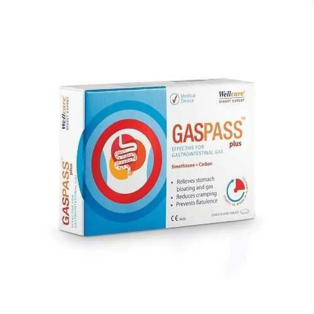 Wellcare Gaspass Plus 20 Tablet